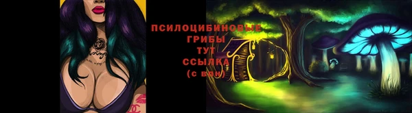 наркотики Алексин