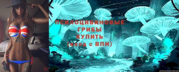 мяу мяу мука Абдулино