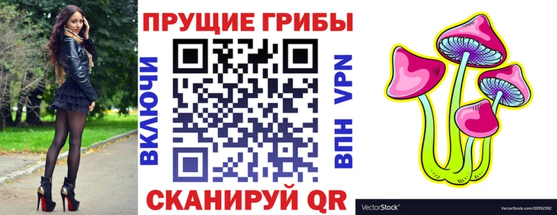 продажа наркотиков  Калачинск  omg онион  Псилоцибиновые грибы MAGIC MUSHROOMS 